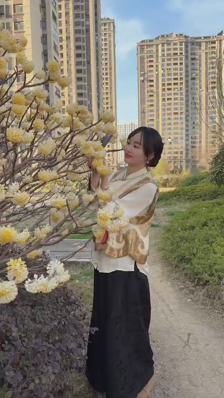 Golden Phoenix Embroidery Vest Spring Look